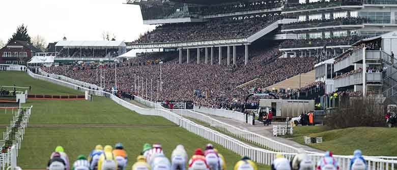 제 작사 Cheltenham 축제의 빅 우승자