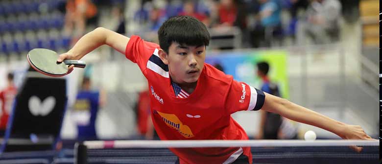Table Tennis Among the New Sports Betting Favorites