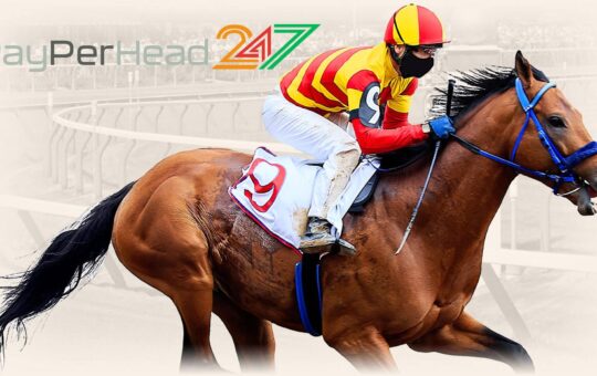 Horse Racing software at PayPerHead247