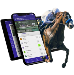 How to Open a Horse Betting Business