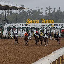 Horse Racing Problems in California to Impact the Industry Nationwide