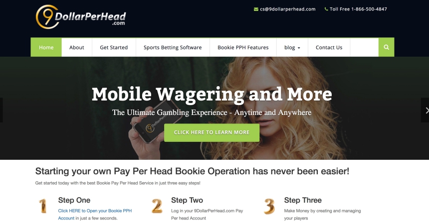 9DollarPerHead Pay Per Head Review