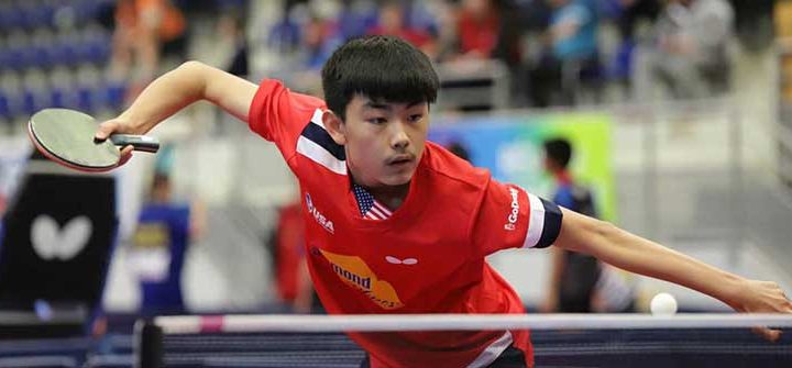 Table Tennis Among the New Sports Betting Favorites