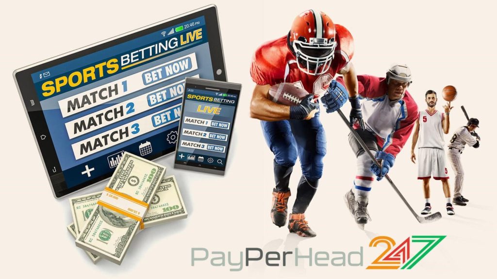 PayPerHead247 PPH Service