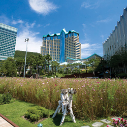 South Korea Approves Kangwon Land Casino License Extension